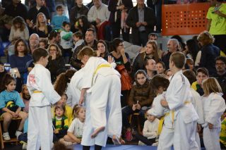 141116_cros_pmr_127-cros-manyanet
