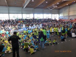 qp1040194-cros-manyanet