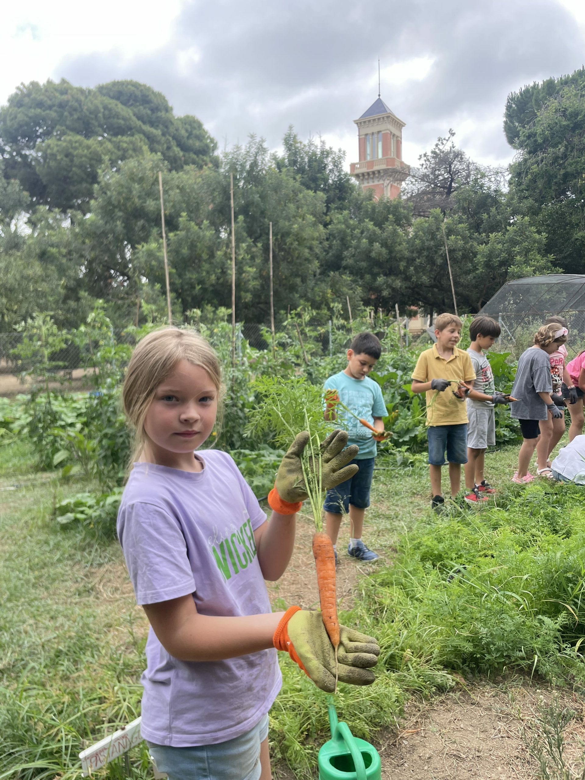 Escola verda - 7