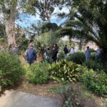 Plantas Rite Cognitas - 1