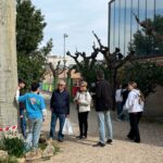 Plantas Rite Cognitas - 3