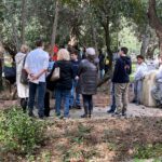 Plantas Rite Cognitas - 4