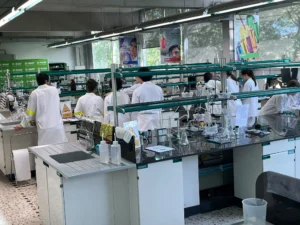 Alumnat de Batxillerat de l'Escola Pare Manyanet de Reus realitzant un experiment de química als laboratoris de la Universitat Rovira i Virgili.